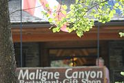 27 - Maligne Canyon, Medicine Lake, Maligne Lake - IMG_1112
